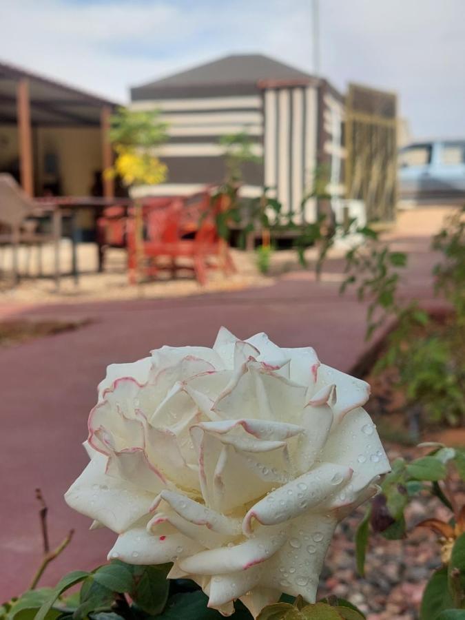 Wadi Rum Oryx Hostel & Tours Eksteriør bilde